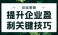 經(jīng)營賬講解：提升企業(yè)盈利的關鍵技巧